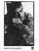 Robyn Hitchcock Publicity Photo