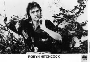 Robyn Hitchcock Publicity Photo