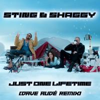 Sting: Just One Lifetime US eSingle