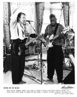 Sting Bring Night Film 2 GOLDWYN