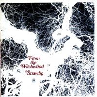 Strawbs: From the Witchwood US vinyl album
