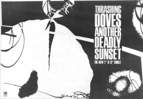 Thrashing Doves Advert