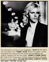 Tommy Shaw Advert
