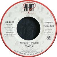 Tonio K.: Perfect World US promo 7-inch