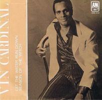 Vin Cardinal: Let the Water Run Down Britain 7-inch