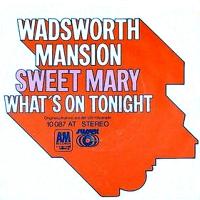 Wadsworth Mansion: Sweet Mary Germany 7-inch