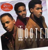 Wooten Brothers: Try My Love US vinyl album