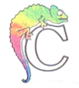 Chameleon Music Group Logo