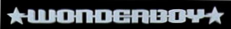 Wonderboy logo