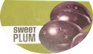 Sweet Plum logo
